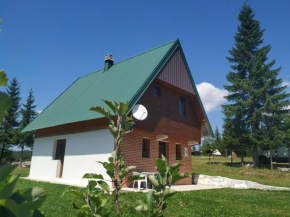 House in forest Žabljak